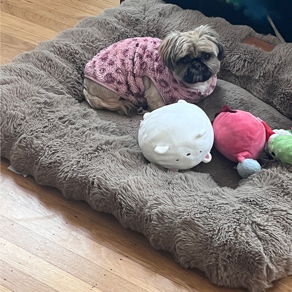 vivicanguyen76